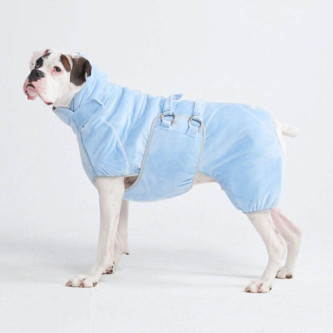 10 Minute Dry Dog Bathrobe - Image 3