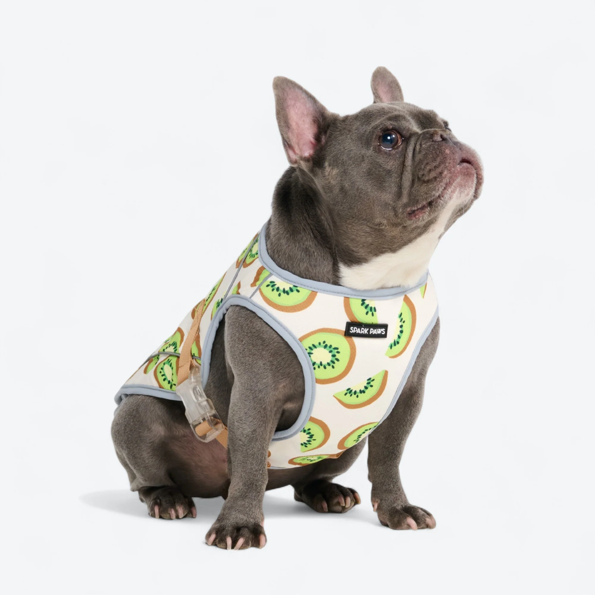 Dog Cooling Vest - Kiwi - Image 3