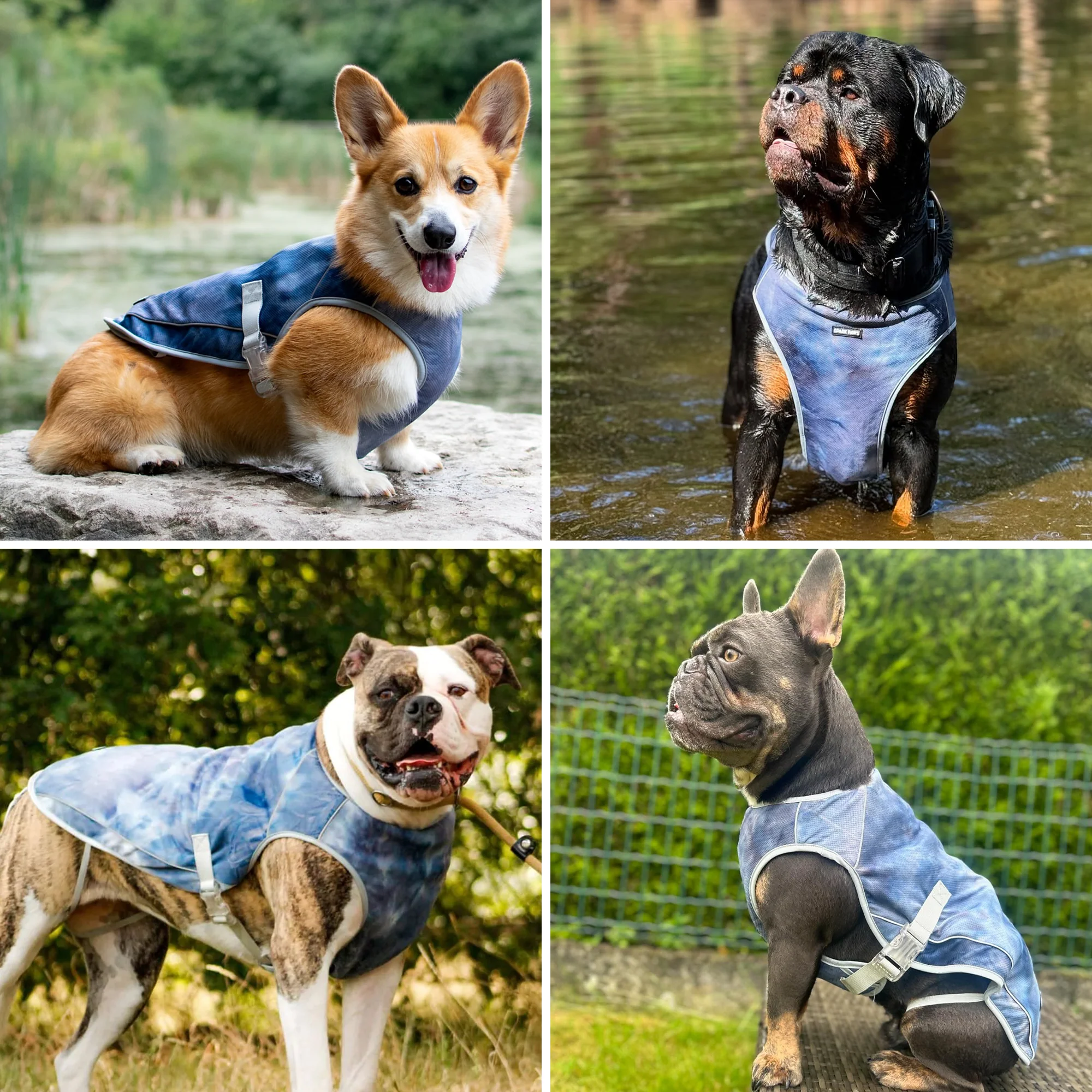 Chilltech™ Dog Cooling Vests - Image 20