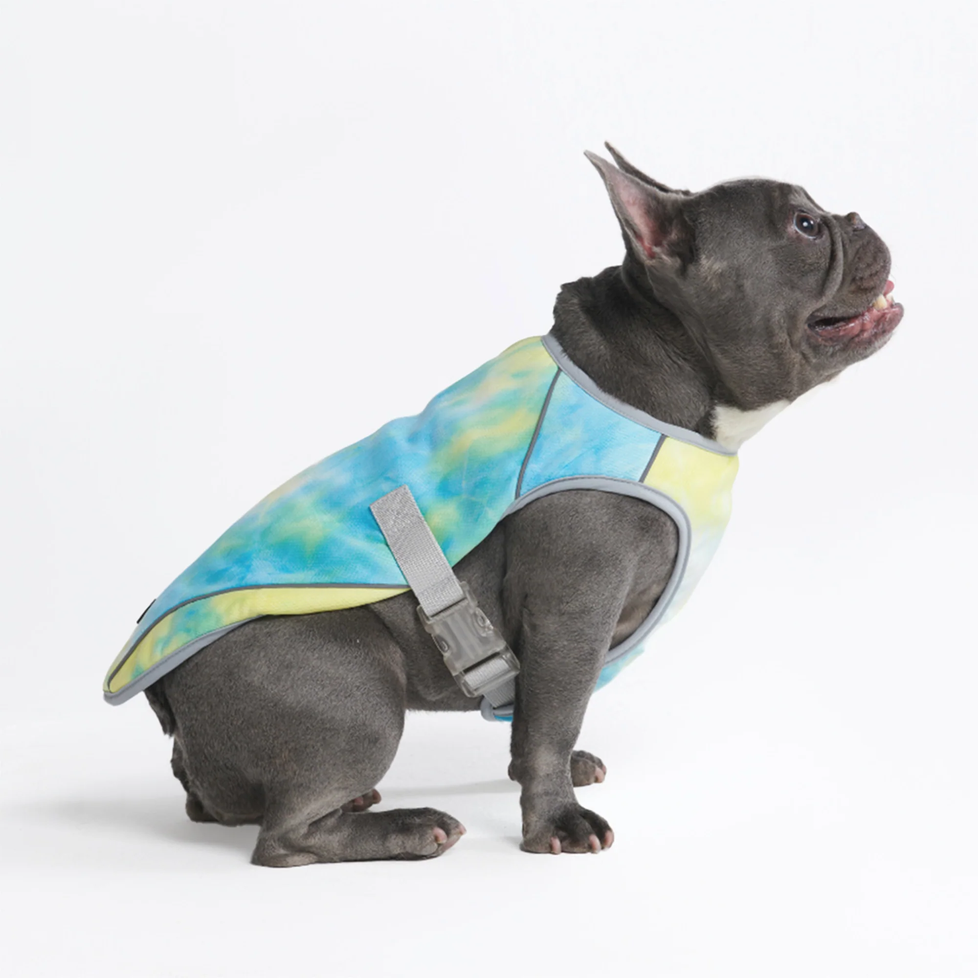 Chilltech™ Dog Cooling Vests - Image 24