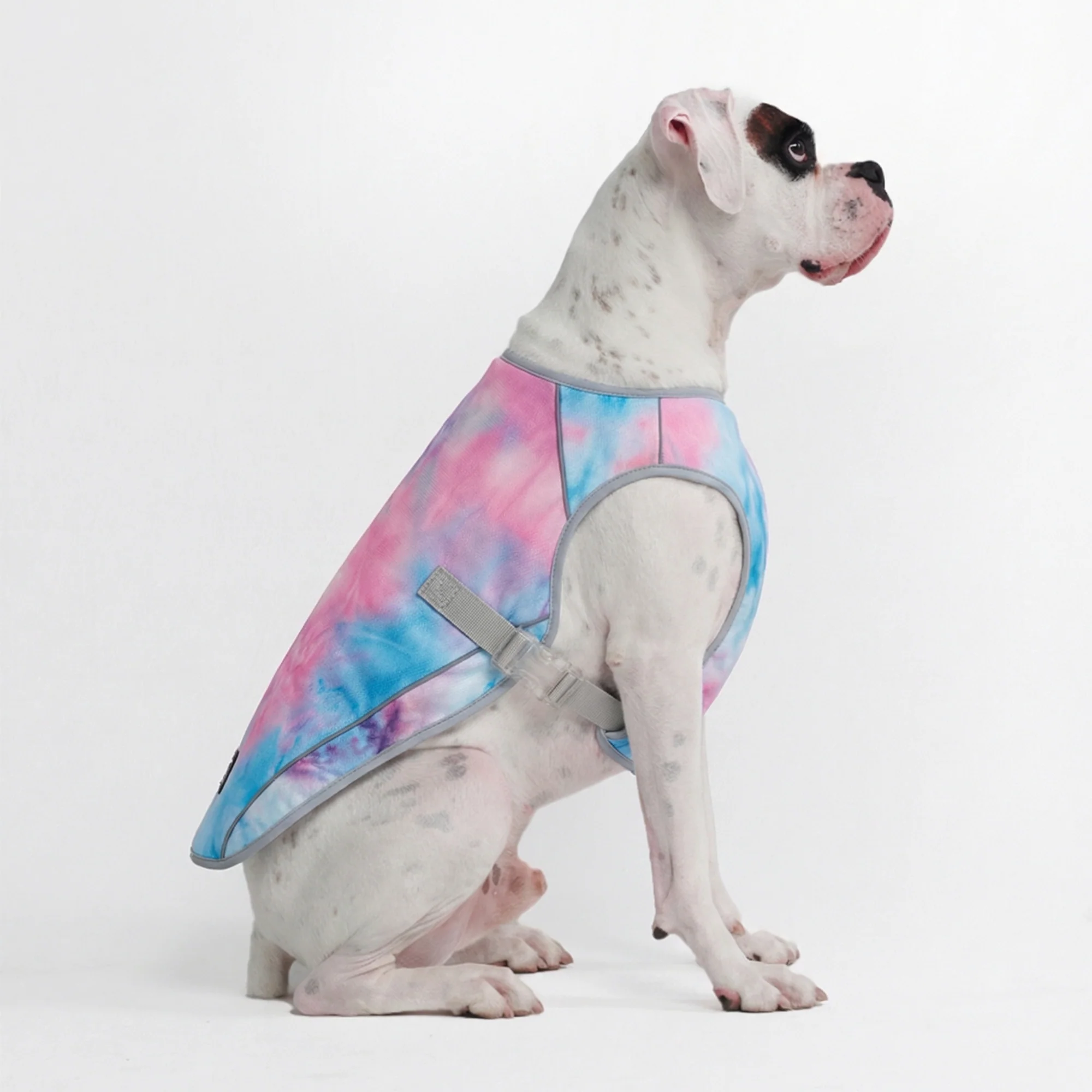 Chilltech™ Dog Cooling Vests - Image 4