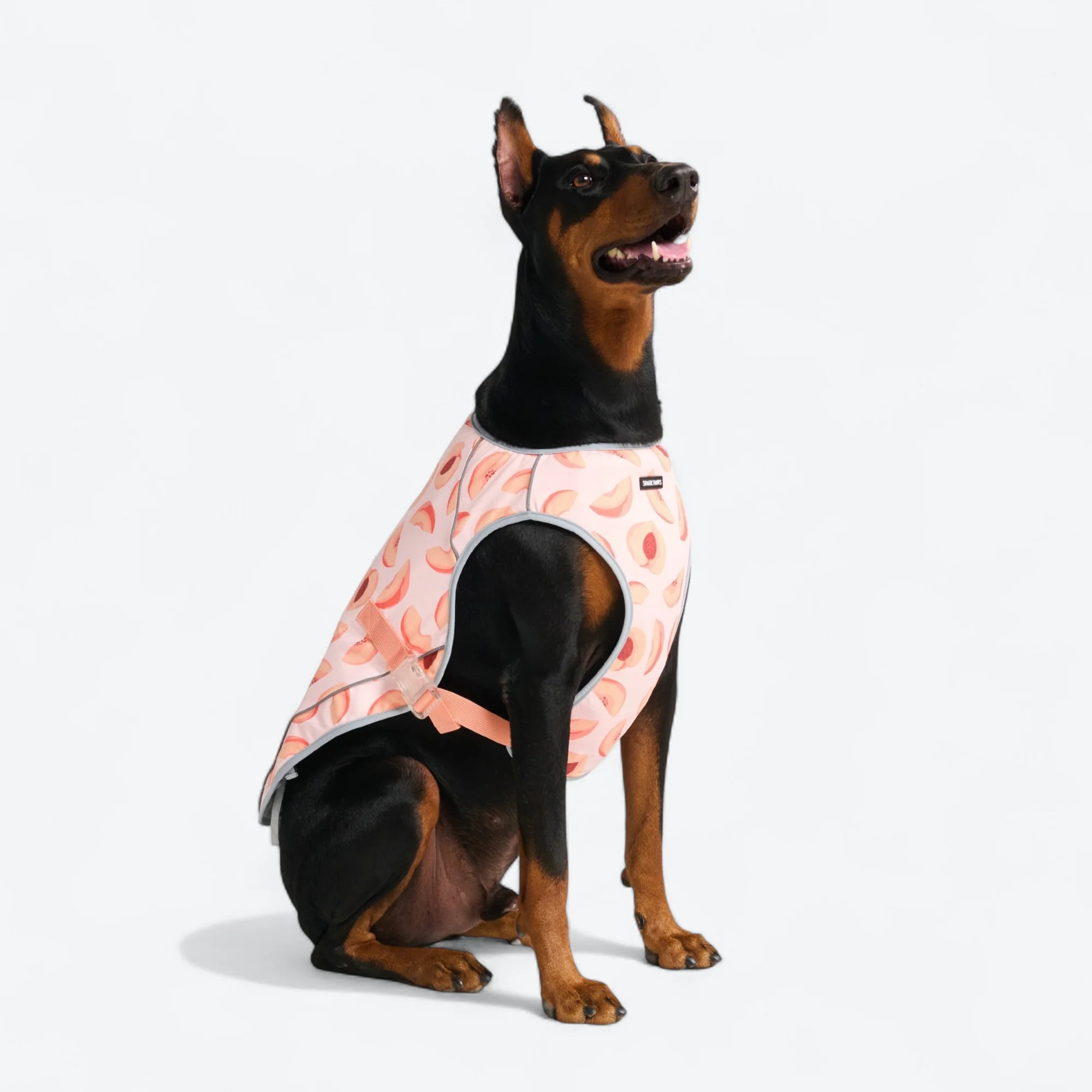 Chilltech™ Dog Cooling Vests - Image 81