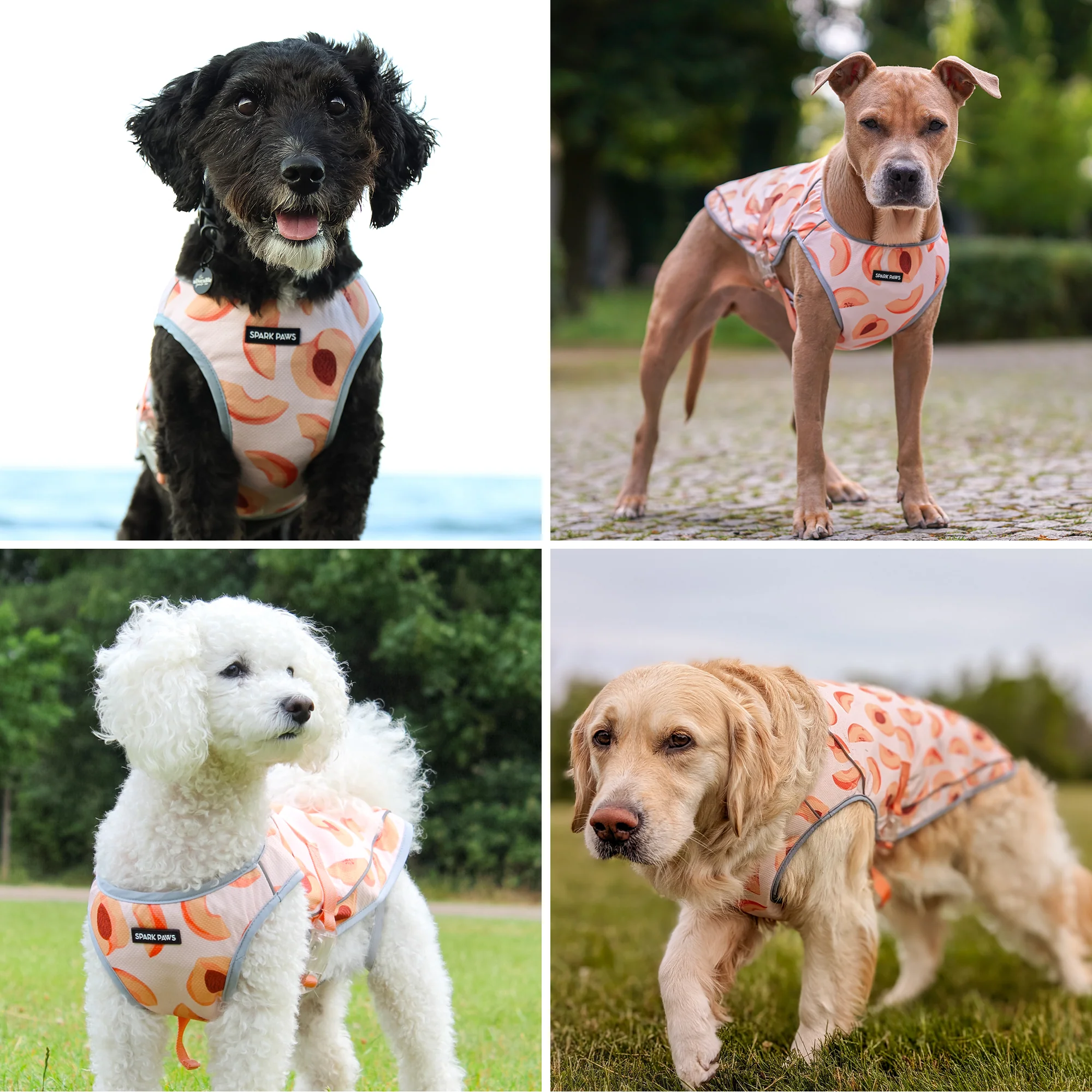 Chilltech™ Dog Cooling Vests - Image 86