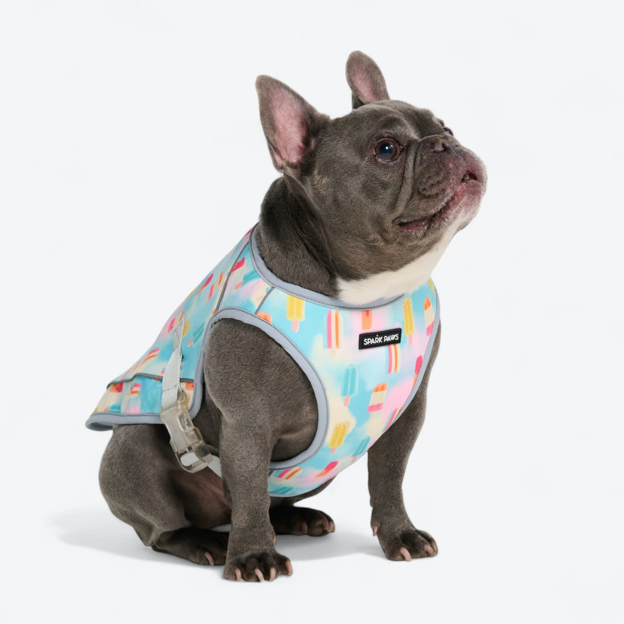 Chilltech™ Dog Cooling Vests - Image 56