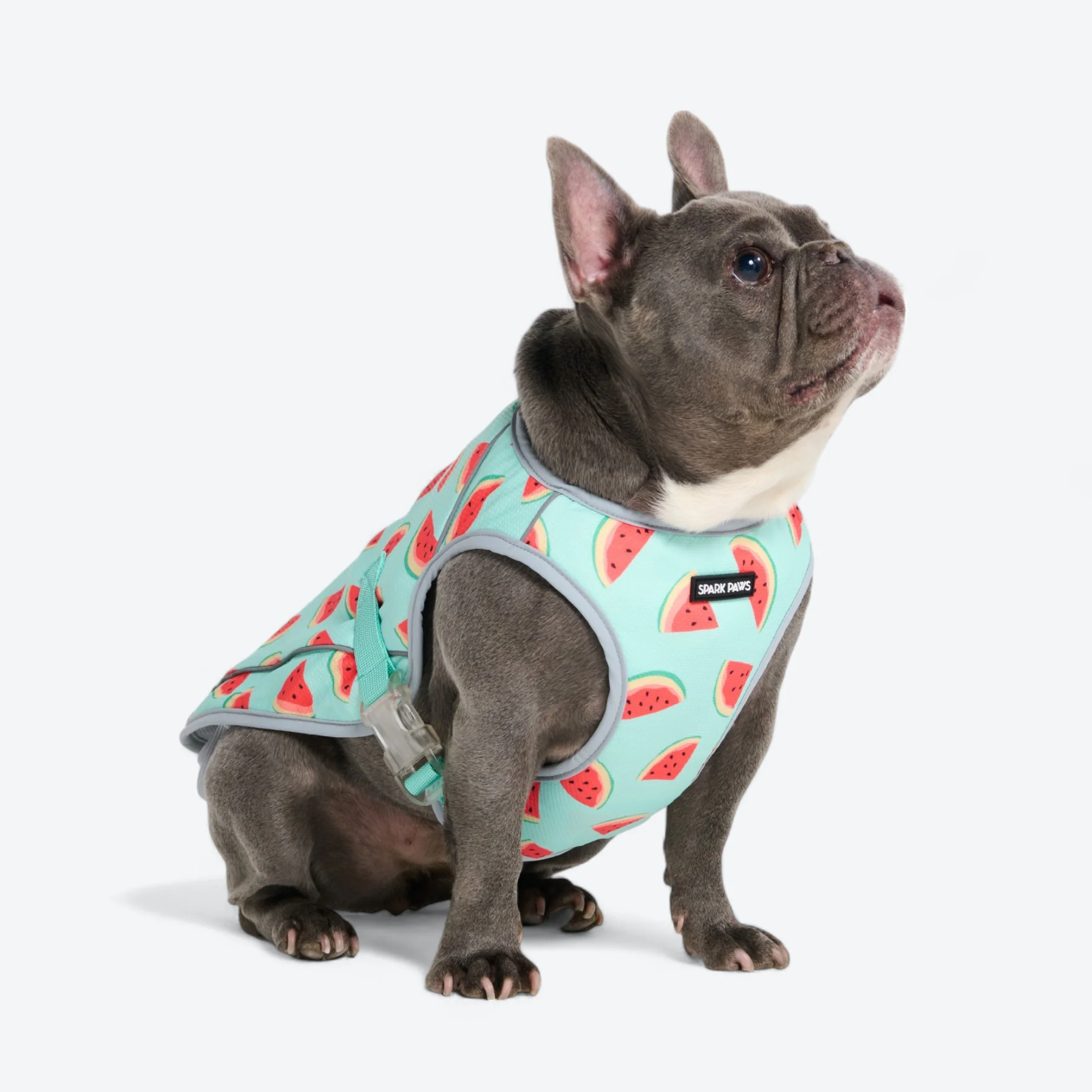 Chilltech™ Dog Cooling Vests - Image 45