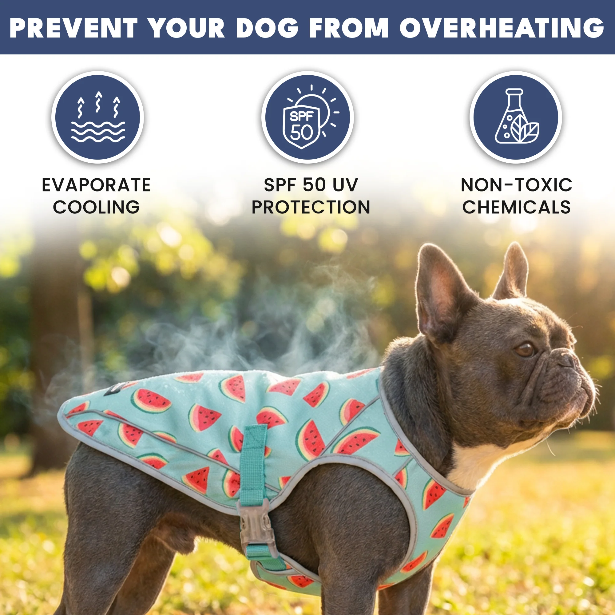 Chilltech™ Dog Cooling Vests - Image 49