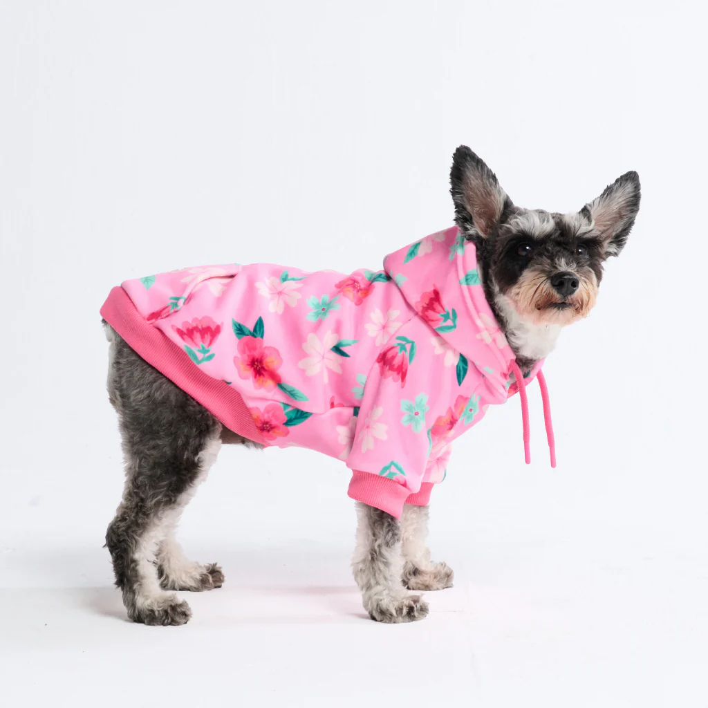 Dog Hoodie Prints - Image 19