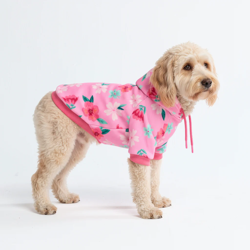 Dog Hoodie Prints - Image 22