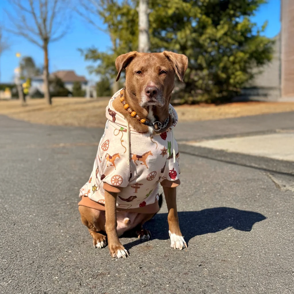 Dog Hoodie Prints - Image 50