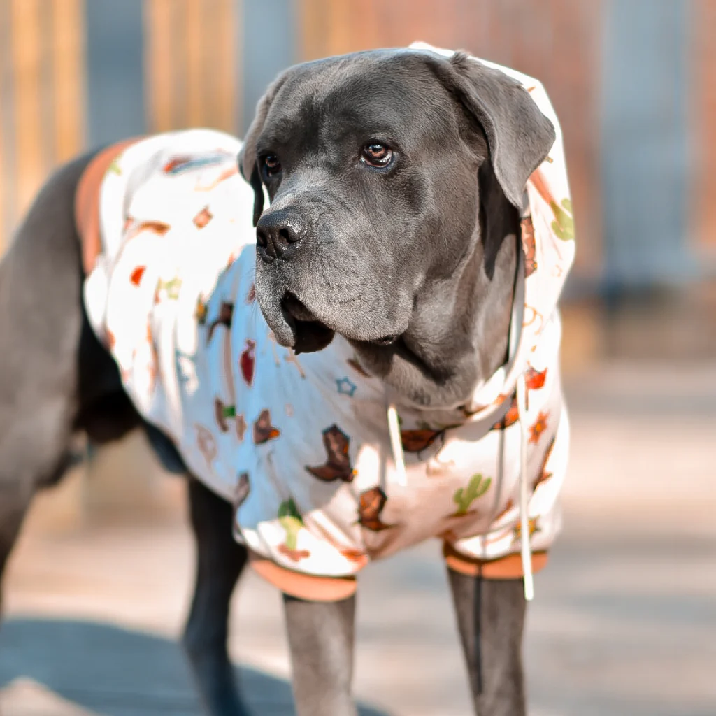 Dog Hoodie Prints - Image 51