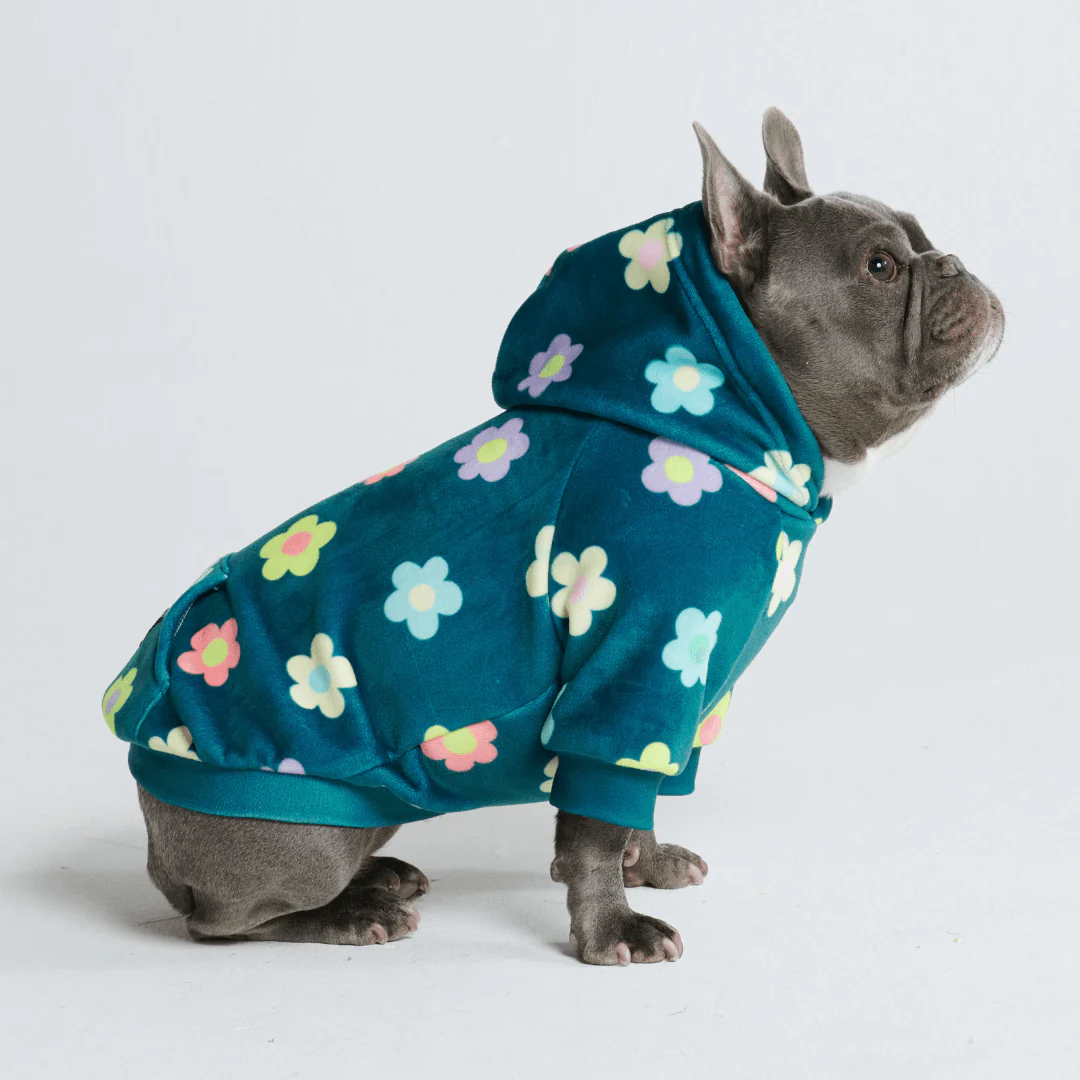 Dog Hoodie Prints - Image 58