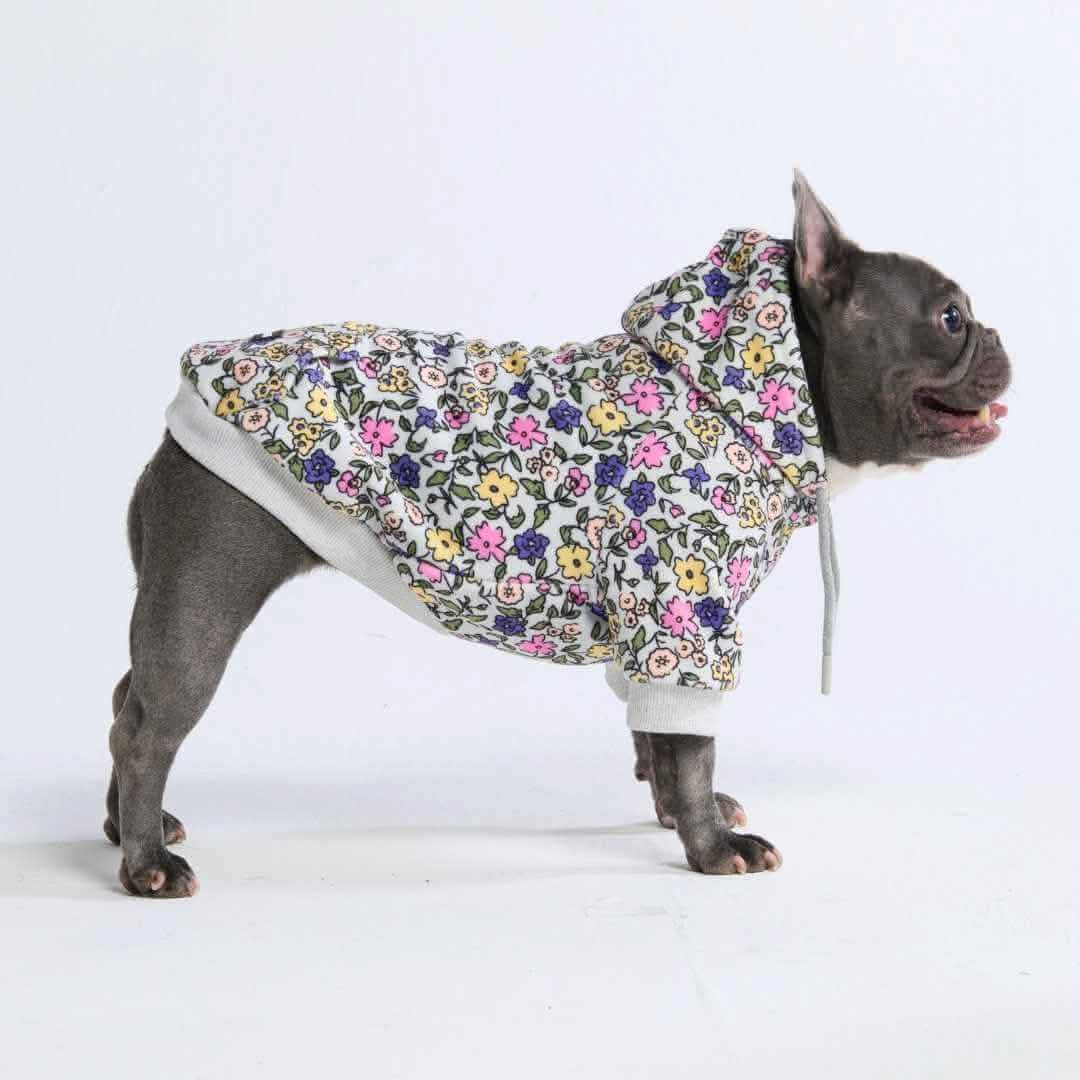 Dog Hoodie Prints - Image 59