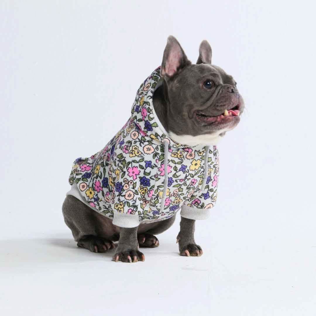 Dog Hoodie Prints - Image 60
