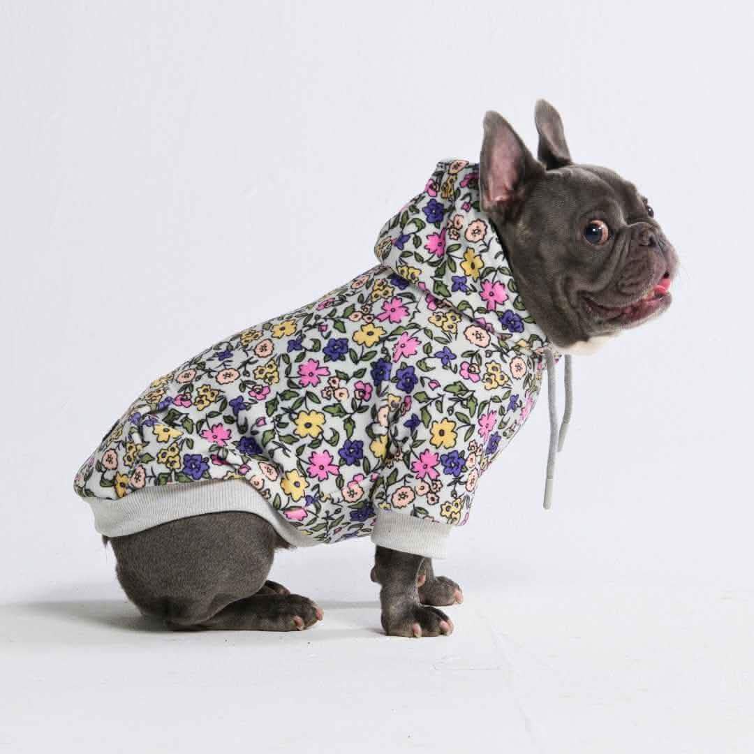 Dog Hoodie Prints - Image 62