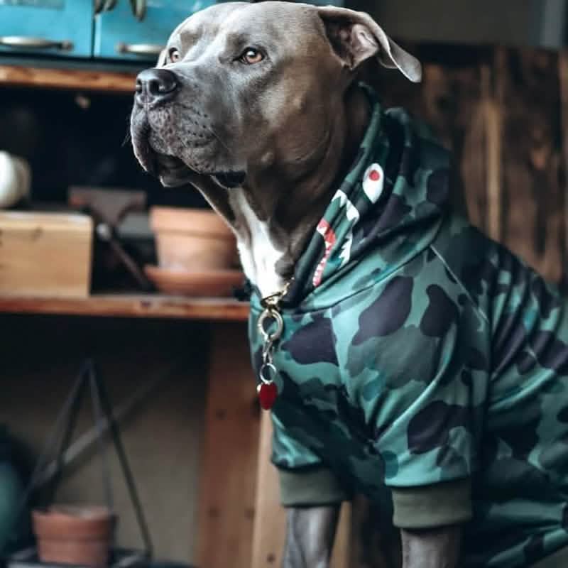 Dog Hoodie Prints - Image 73