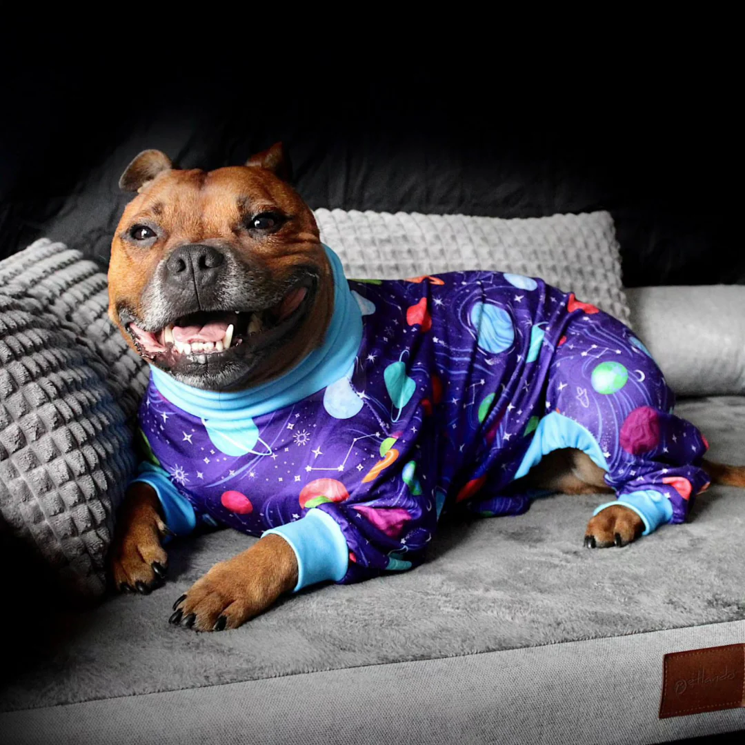 Dog Pajama Prints - Image 18