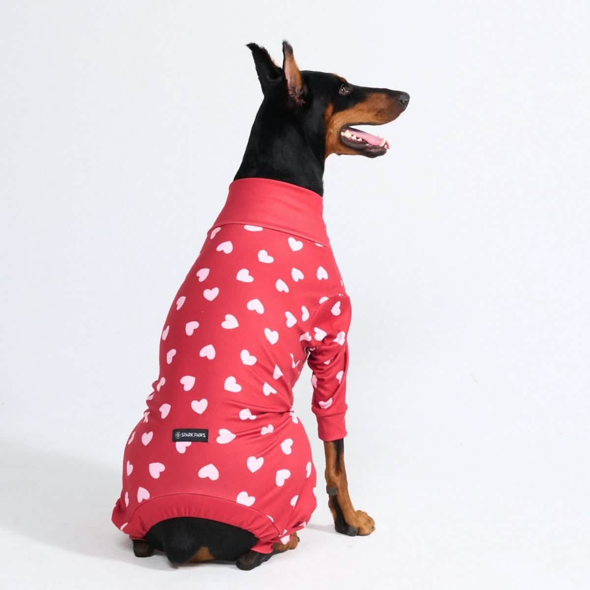 Dog Pajama Prints - Image 21