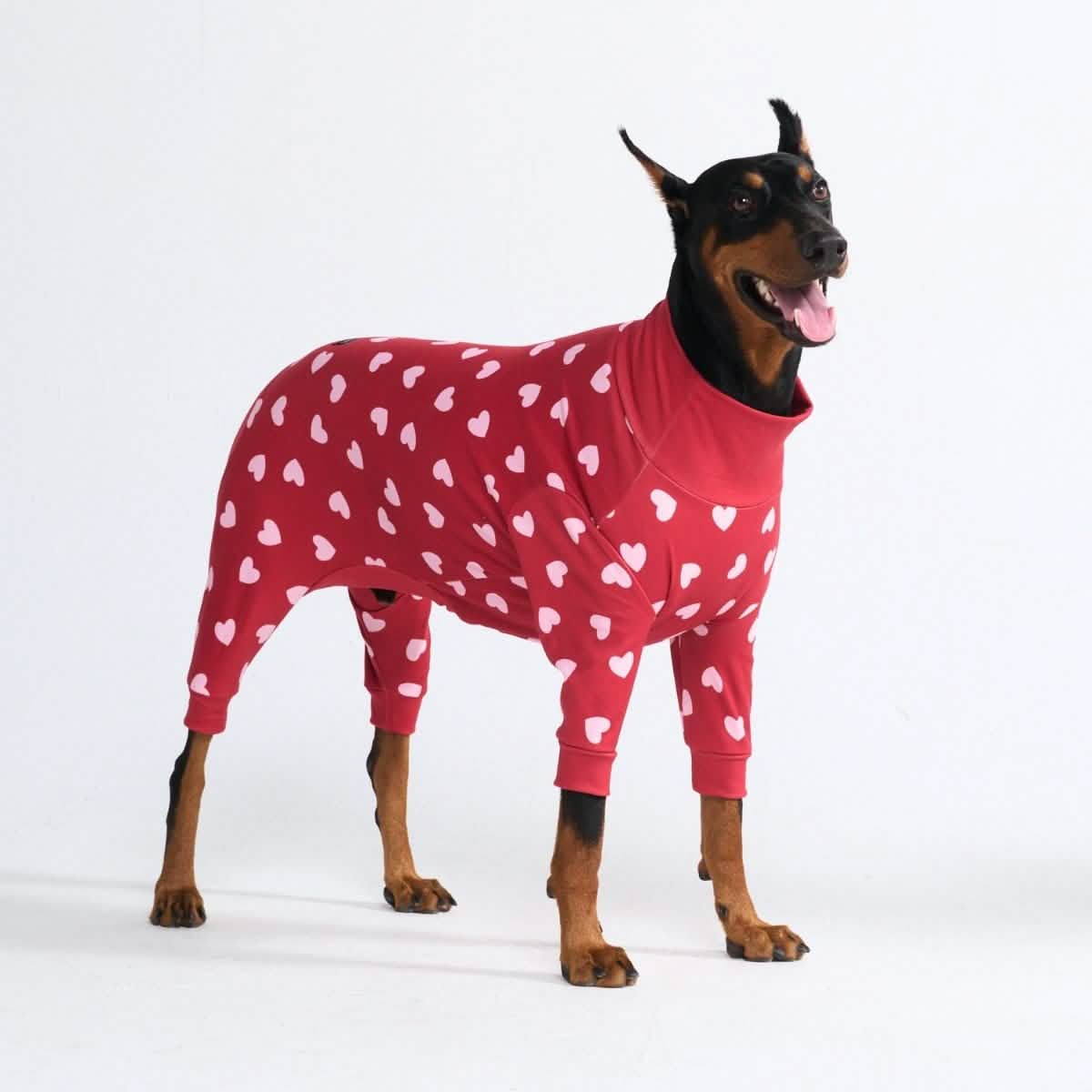 Dog Pajama Prints - Image 22