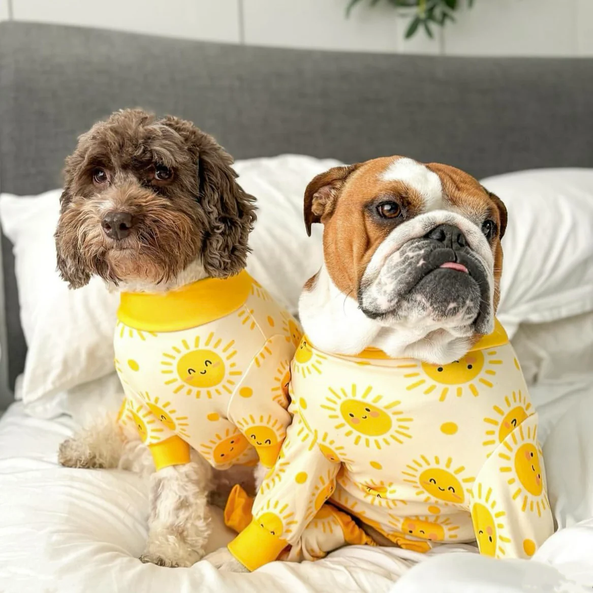Dog Pajama Prints - Image 27