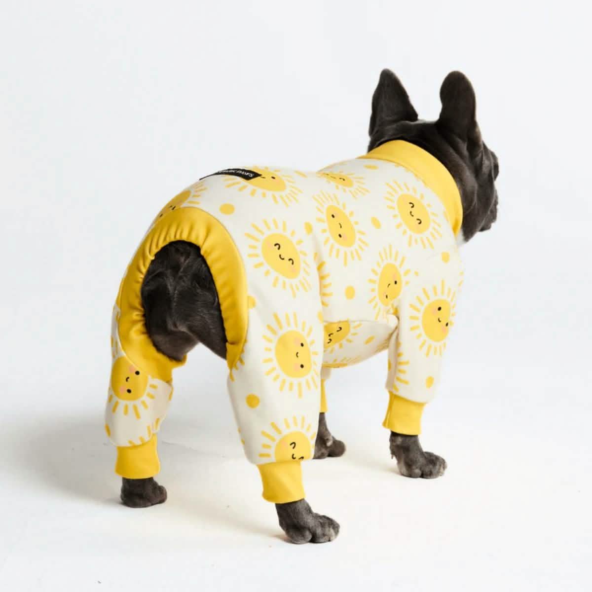 Dog Pajama Prints - Image 28