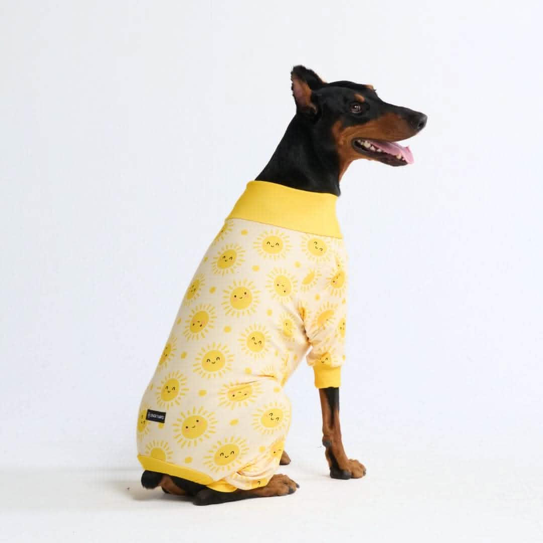 Dog Pajama Prints - Image 31