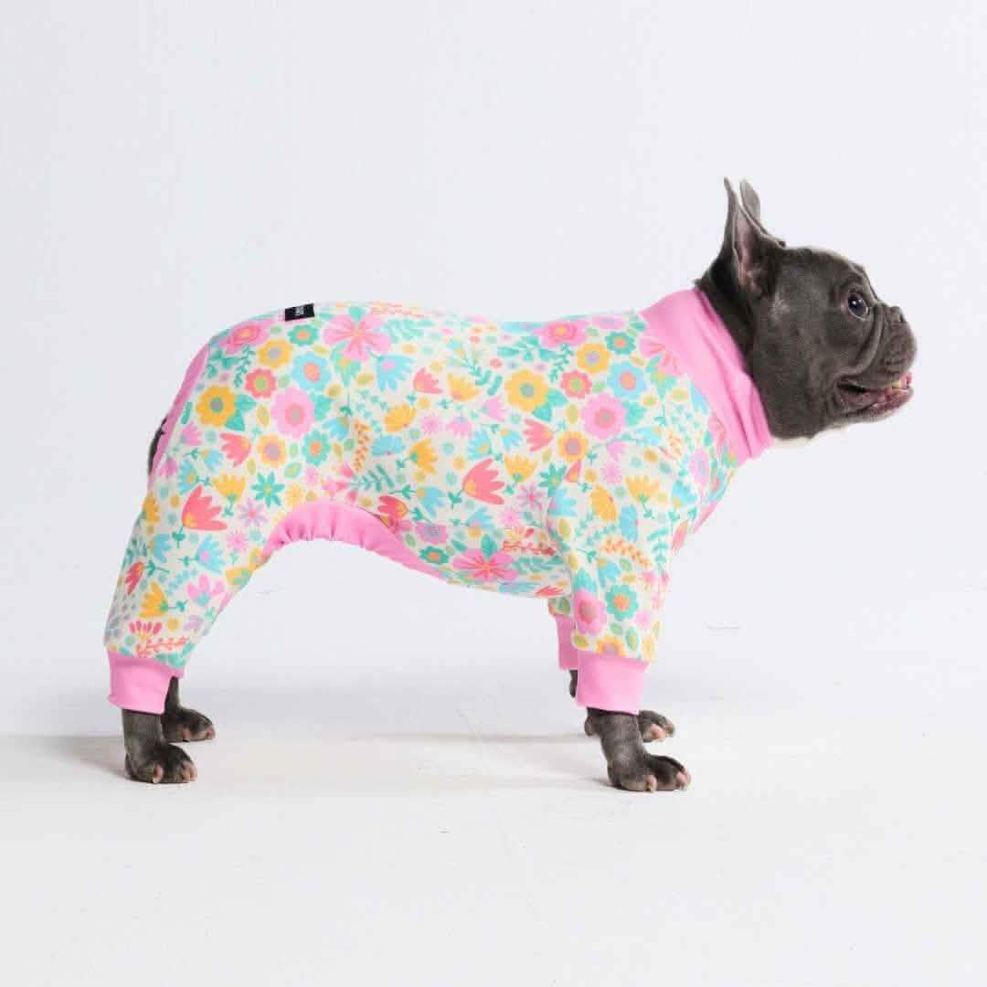 Dog Pajama Prints - Image 45