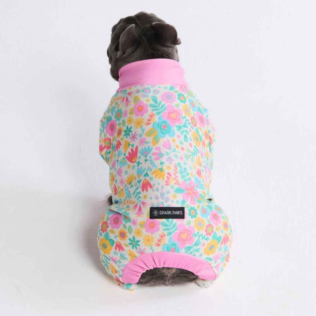 Dog Pajama Prints - Image 47