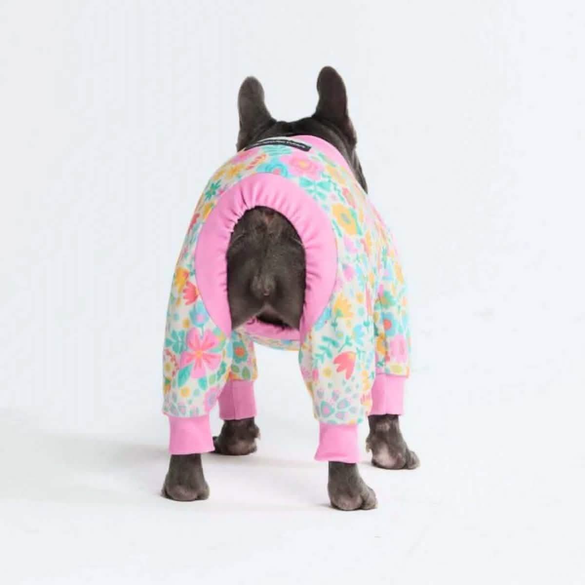 Dog Pajama Prints - Image 49