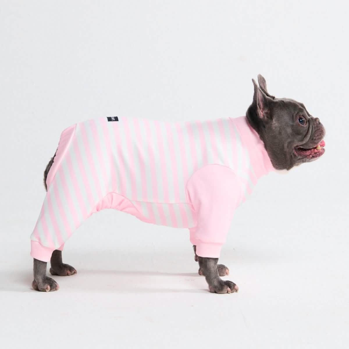 Dog Pajama Prints - Image 50