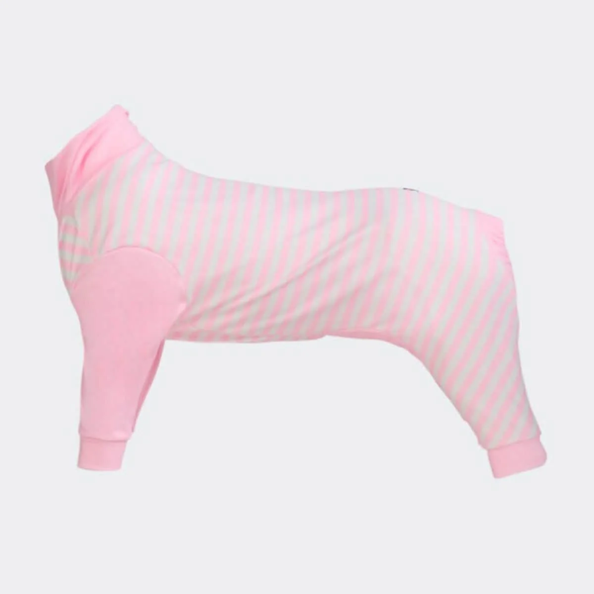 Dog Pajama Prints - Image 53