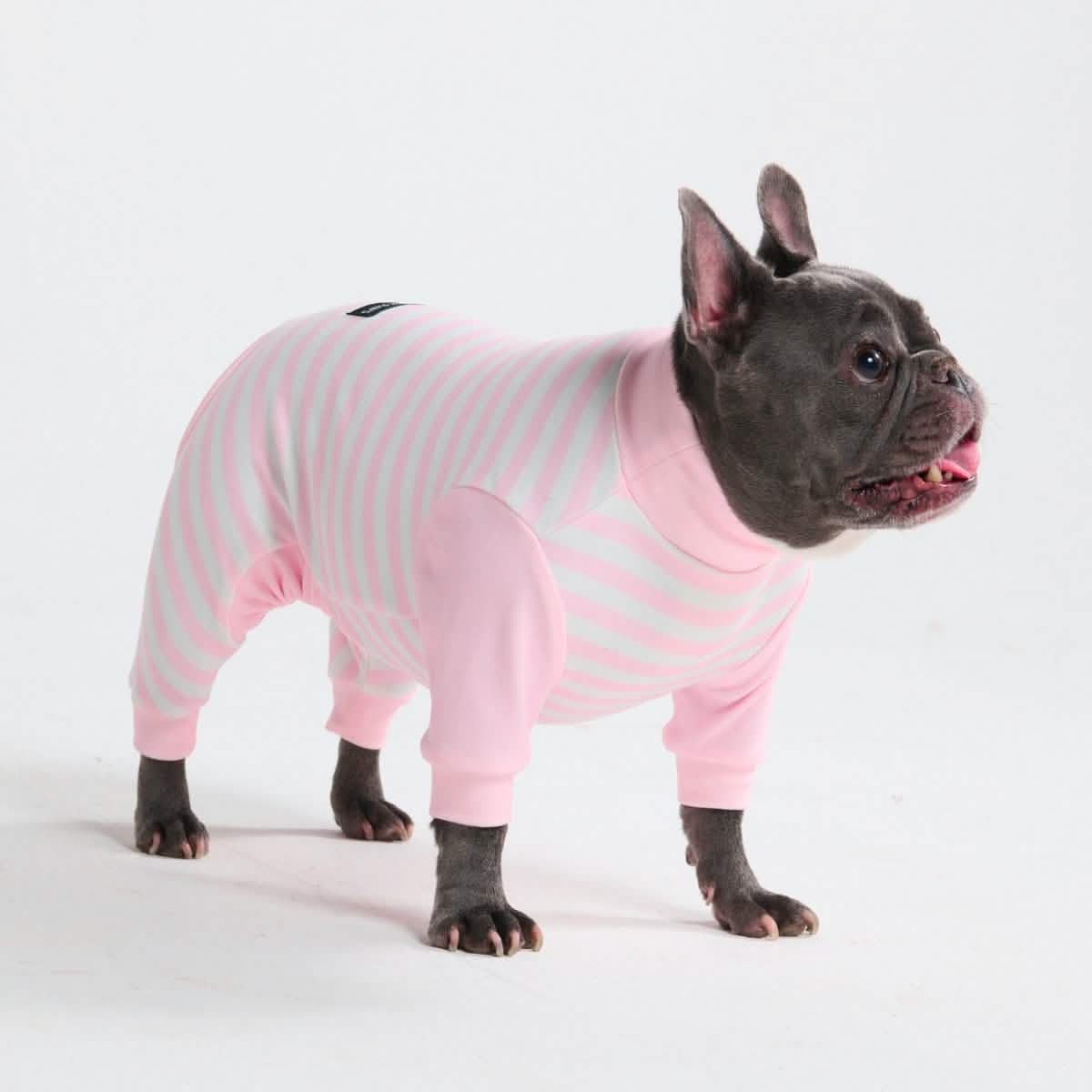 Dog Pajama Prints - Image 55