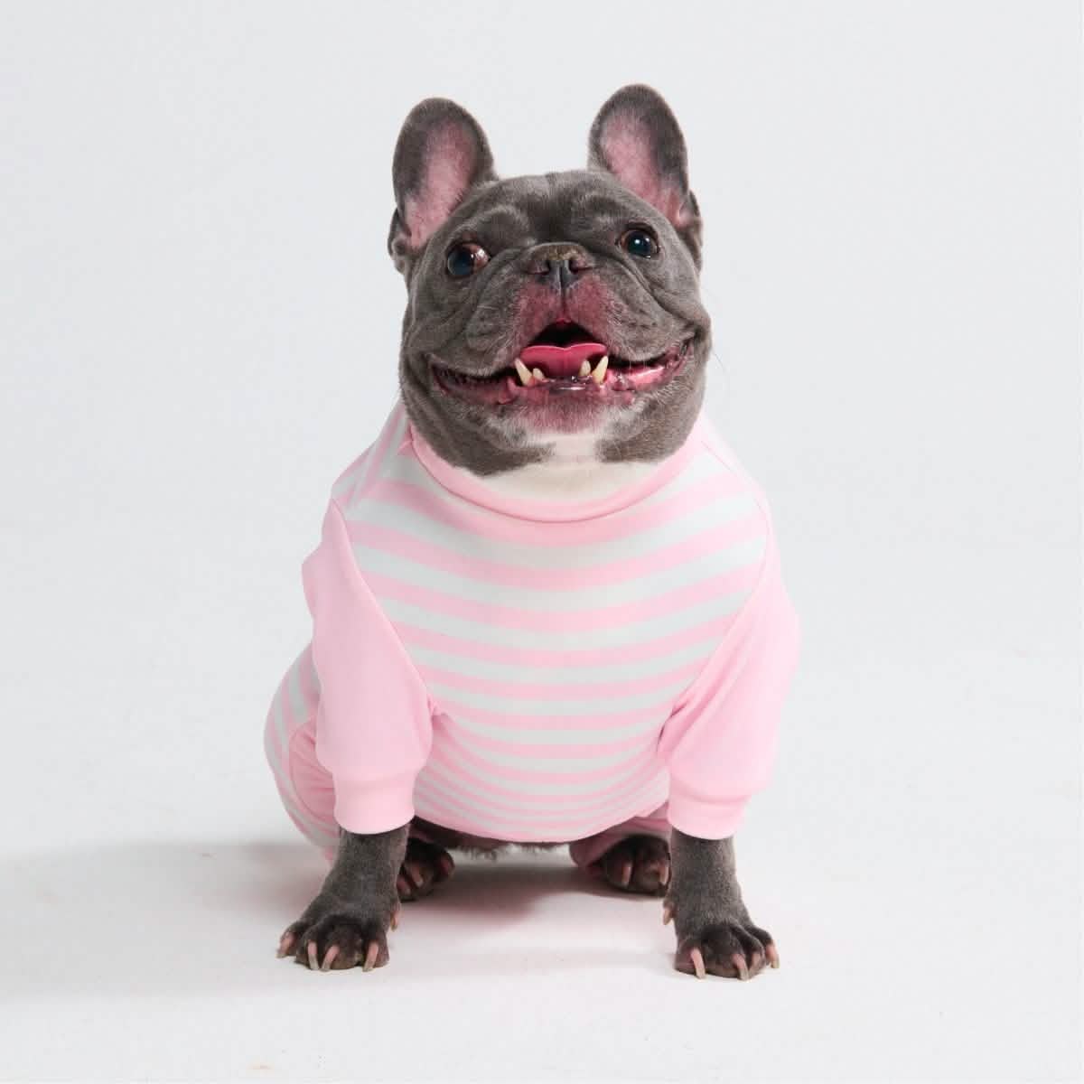 Dog Pajama Prints - Image 56