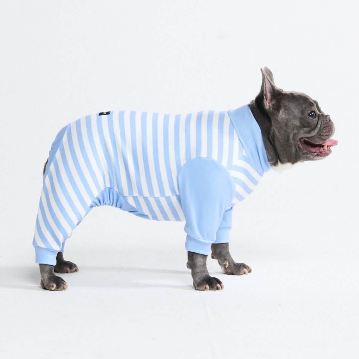 Dog Pajama Prints - Image 57