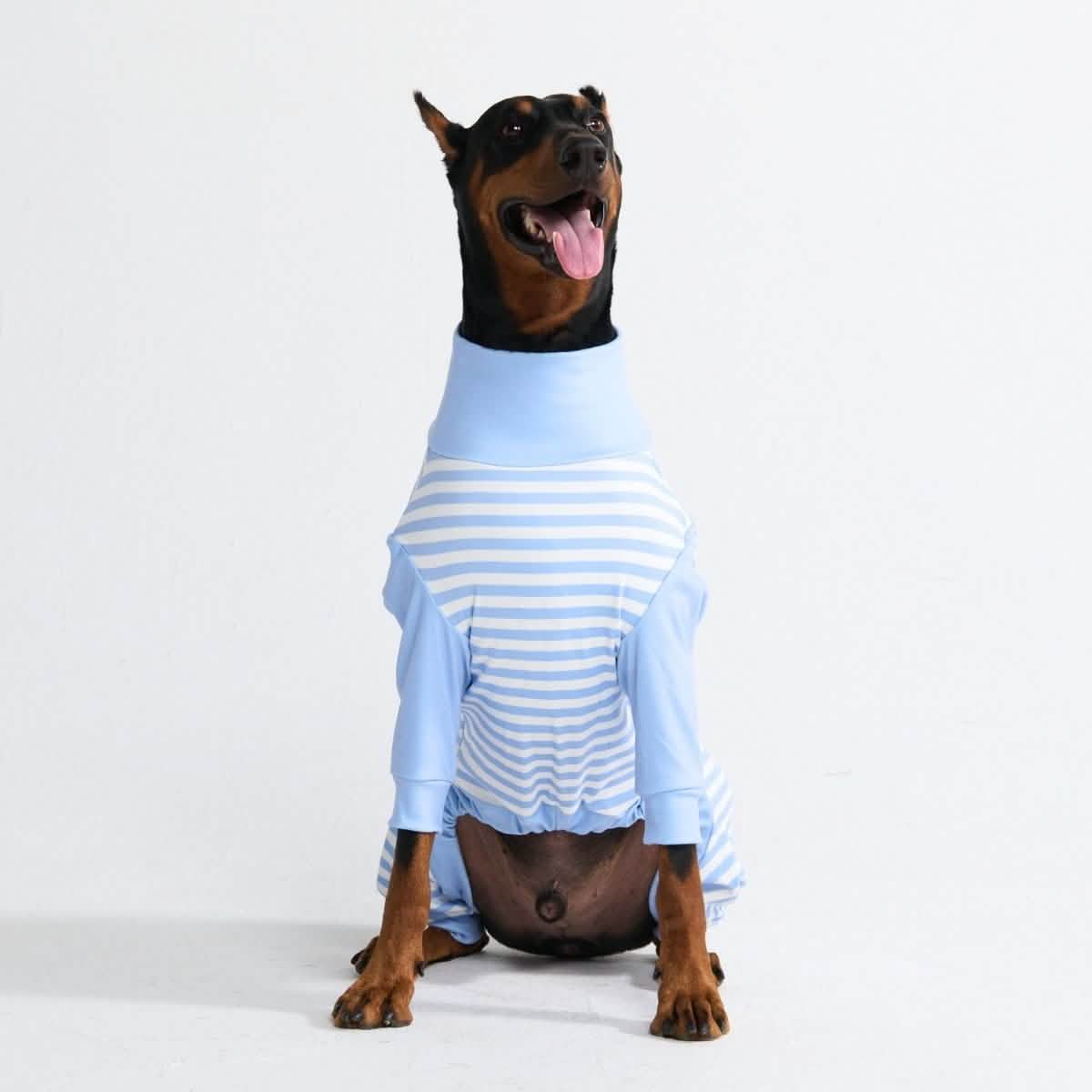 Dog Pajama Prints - Image 59