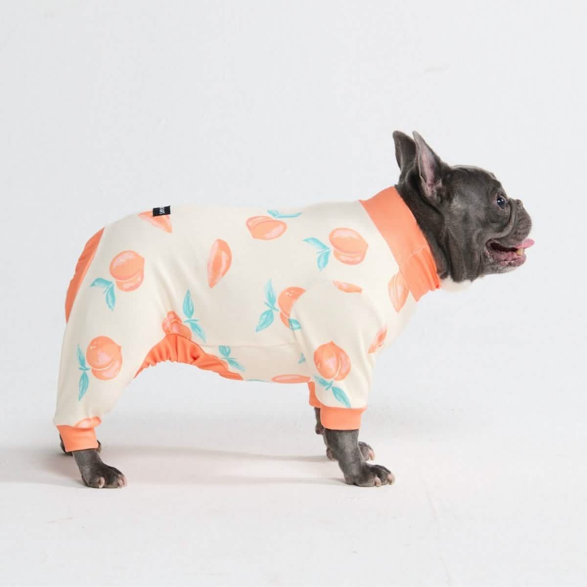 Dog Pajama Prints - Image 64