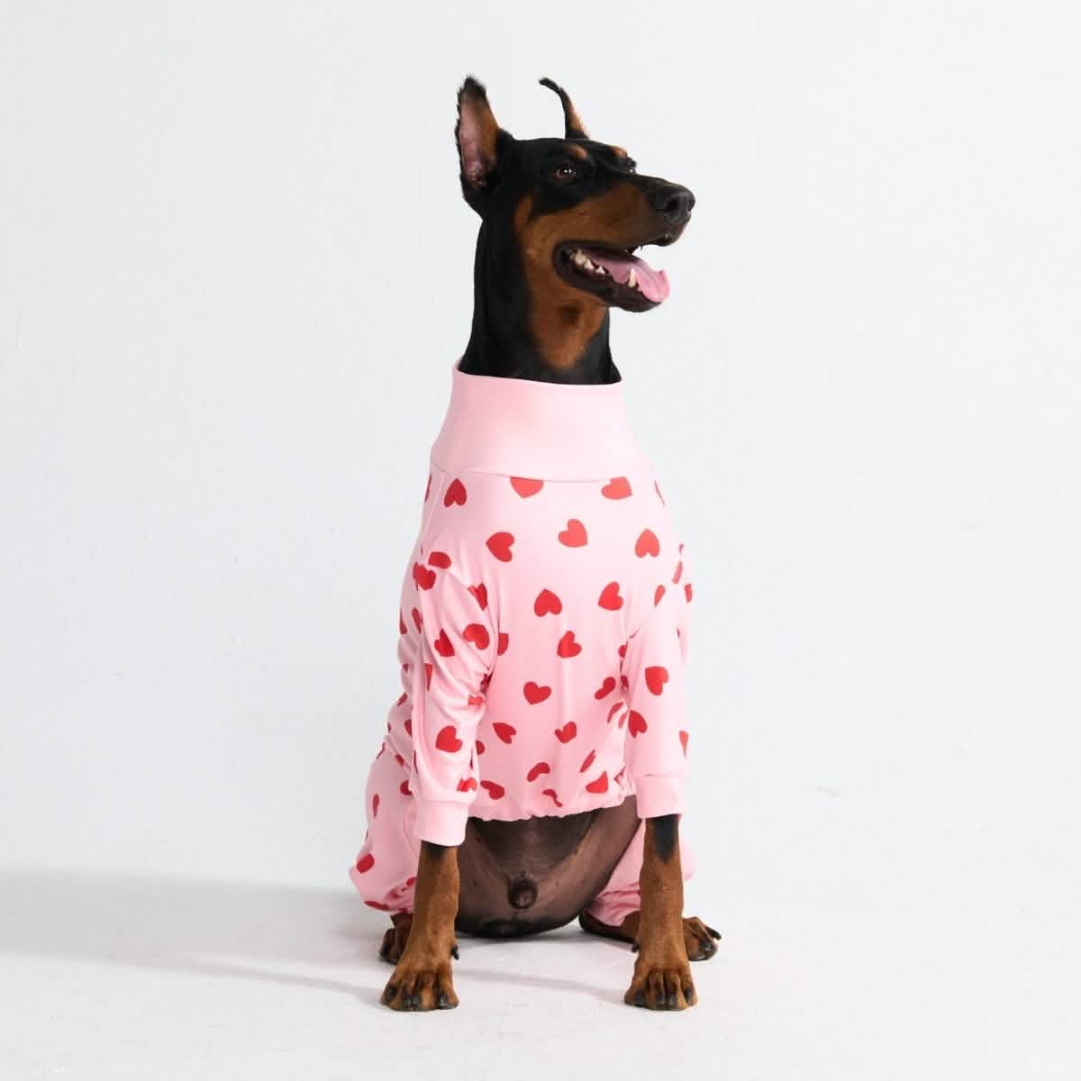 Dog Pajama Prints - Image 73