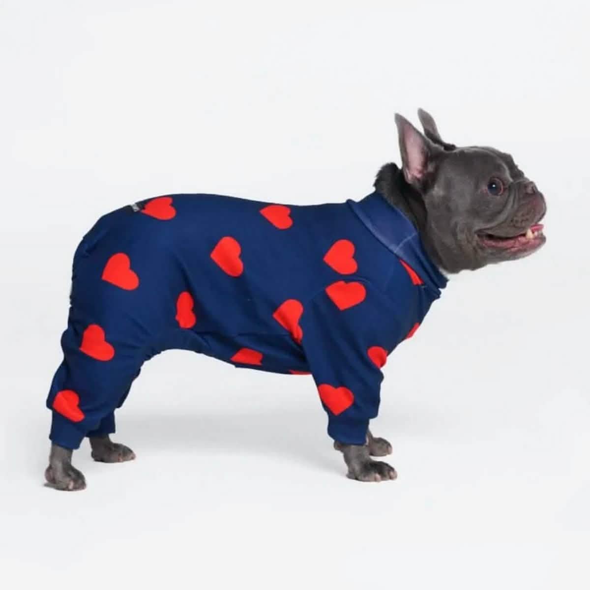 Dog Pajama - Hearts - Image 5