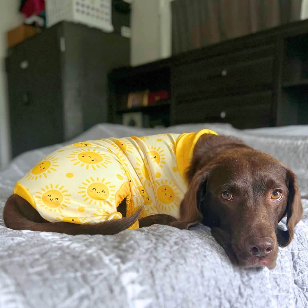 Dog Pajama - Sunshine - Image 5