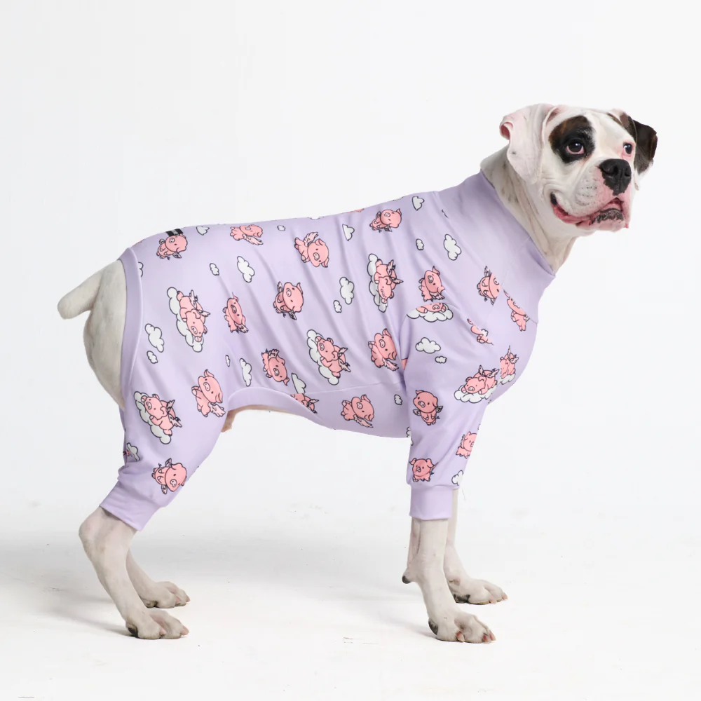 Dog Pajama - When Pigs Fly - Image 5