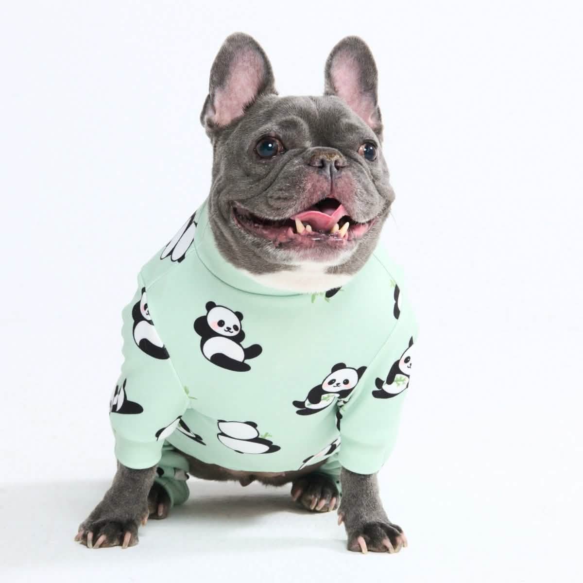 Dog Pajama Prints - Image 14