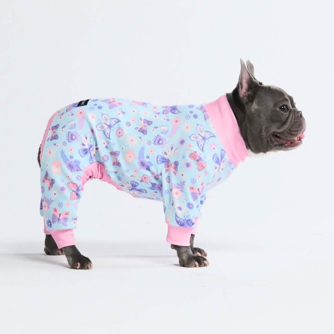 Dog Pajama Prints - Image 39