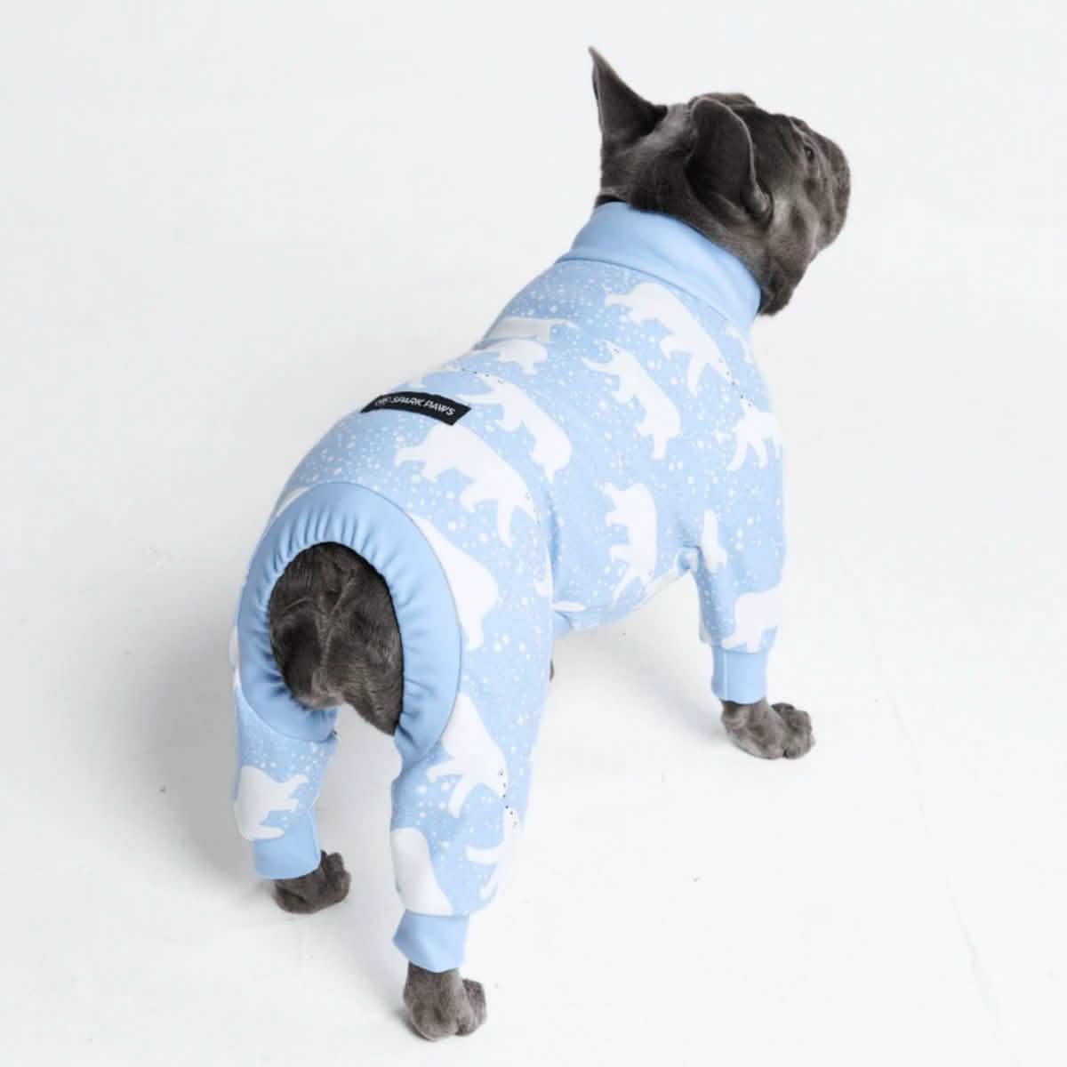 Dog Pajama Prints - Image 50
