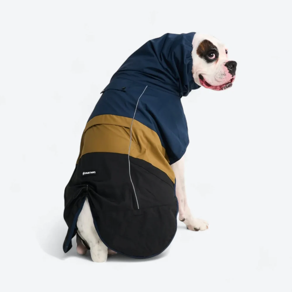 Breatheshield™ Dog Raincoat - Blue Gold Black - Image 6