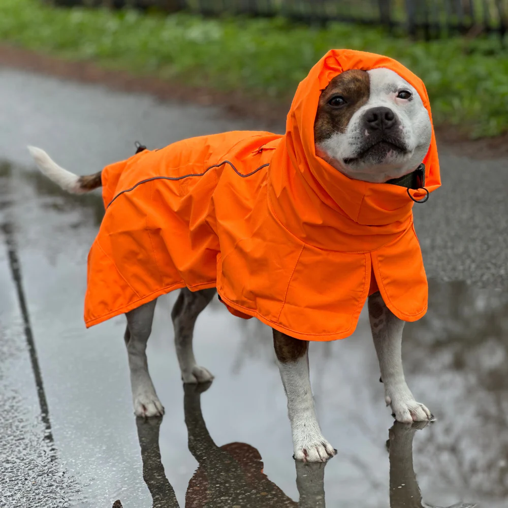 Breatheshield™ Dog Raincoats - Image 71