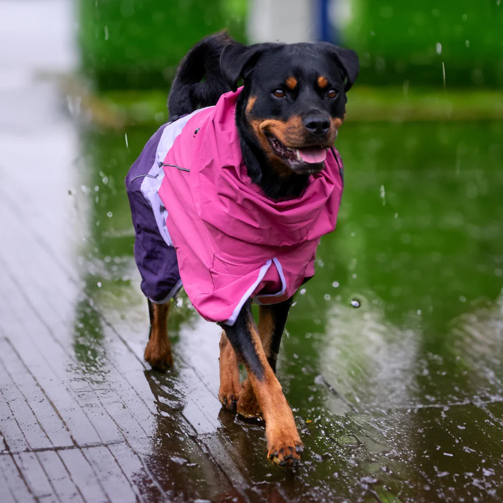 Breatheshield™ Dog Raincoats - Image 10