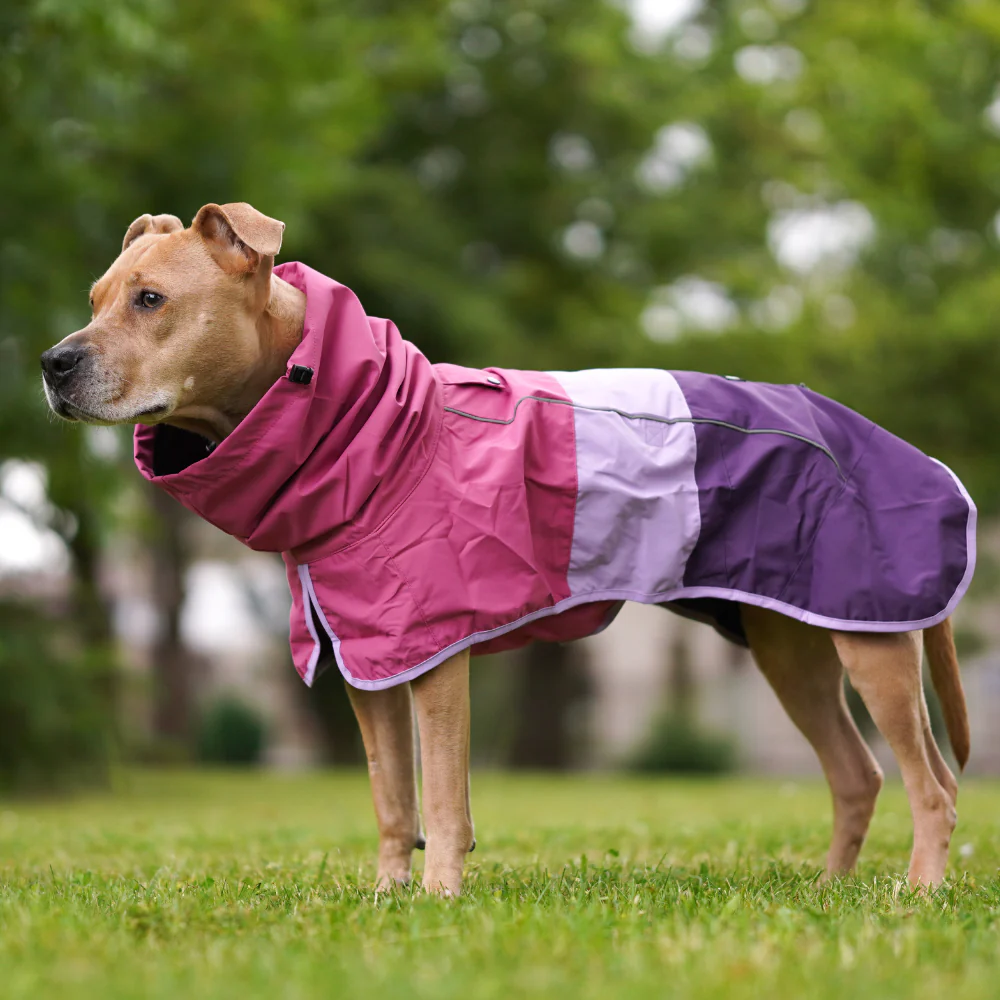 Breatheshield™ Dog Raincoats - Image 11