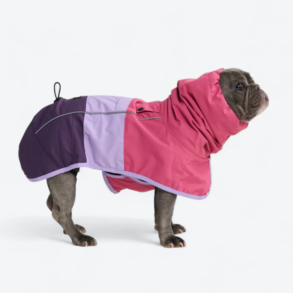 Breatheshield™ Dog Raincoats - Image 3