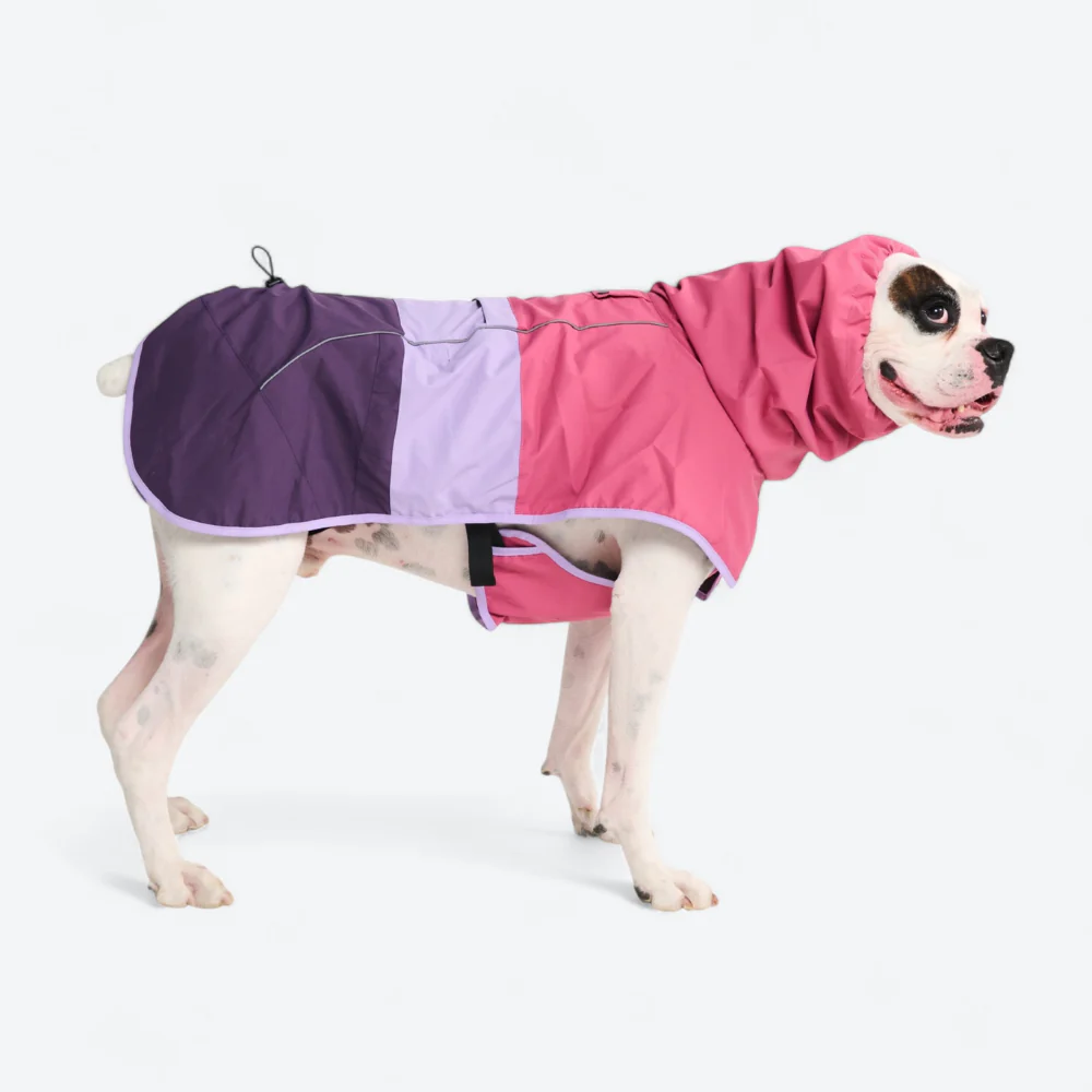 Breatheshield™ Dog Raincoats - Image 5
