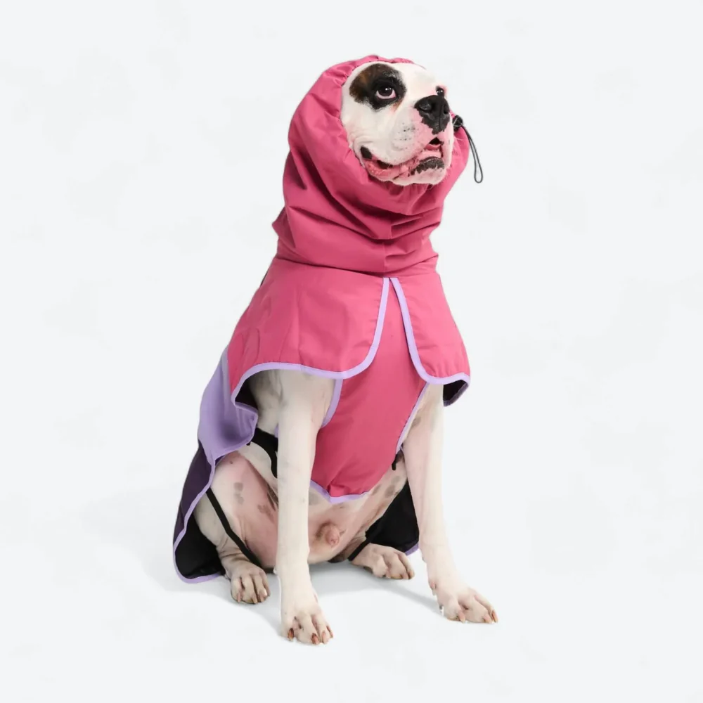 Breatheshield™ Dog Raincoats - Image 8