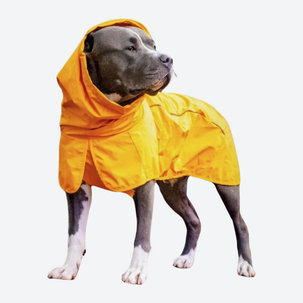 Breatheshield™ Dog Raincoats - Image 12